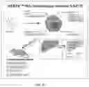 Fig. 28 - METHODS OF TREATING IMBALANCE OF PLASMA LIPIDS LEVEL AND FATTY LIVER WITH M2C MACROPHAGES