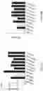 Fig. 46 - Methods of Expanding Tumor Infiltrating Lymphocytes Using Engineered Cytokine Receptor Pairs and Uses Thereof