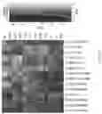 Fig. 67 - Methods of Expanding Tumor Infiltrating Lymphocytes Using Engineered Cytokine Receptor Pairs and Uses Thereof