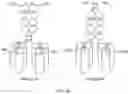 Fig. 68 - Methods of Expanding Tumor Infiltrating Lymphocytes Using Engineered Cytokine Receptor Pairs and Uses Thereof