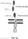 Fig. 03 - Chimeric antigen receptor system with adaptable receptor specificity