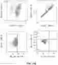 Fig. 19 - Chimeric antigen receptor system with adaptable receptor specificity