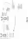 Fig. 34 - Chimeric antigen receptor system with adaptable receptor specificity