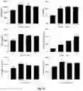 Fig. 03 - CO-USE OF LENALIDOMIDE WITH CAR-T CELLS