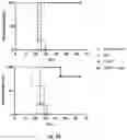 Fig. 05 - CO-USE OF LENALIDOMIDE WITH CAR-T CELLS