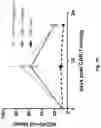 Fig. 06 - CO-USE OF LENALIDOMIDE WITH CAR-T CELLS
