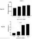 Fig. 10 - CO-USE OF LENALIDOMIDE WITH CAR-T CELLS