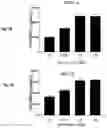 Fig. 12 - CO-USE OF LENALIDOMIDE WITH CAR-T CELLS