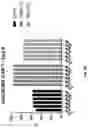 Fig. 19 - CO-USE OF LENALIDOMIDE WITH CAR-T CELLS