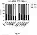 Fig. 26 - CO-USE OF LENALIDOMIDE WITH CAR-T CELLS