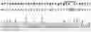 Fig. 01 - MODIFIED IMMUNE EFFECTOR CELL AND PREPARATION METHOD THEREFOR