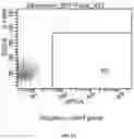 Fig. 03 - MODIFIED IMMUNE EFFECTOR CELL AND PREPARATION METHOD THEREFOR