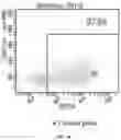 Fig. 04 - MODIFIED IMMUNE EFFECTOR CELL AND PREPARATION METHOD THEREFOR