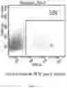 Fig. 05 - MODIFIED IMMUNE EFFECTOR CELL AND PREPARATION METHOD THEREFOR