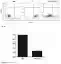Fig. 08 - MODIFIED IMMUNE EFFECTOR CELL AND PREPARATION METHOD THEREFOR