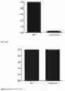 Fig. 09 - MODIFIED IMMUNE EFFECTOR CELL AND PREPARATION METHOD THEREFOR