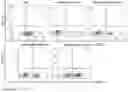 Fig. 11 - MODIFIED IMMUNE EFFECTOR CELL AND PREPARATION METHOD THEREFOR