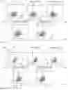 Fig. 14 - MODIFIED IMMUNE EFFECTOR CELL AND PREPARATION METHOD THEREFOR