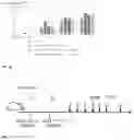 Fig. 19 - MODIFIED IMMUNE EFFECTOR CELL AND PREPARATION METHOD THEREFOR