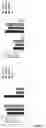 Fig. 12 - MODIFIED IMMUNE RECEPTOR CONSTRUCTS