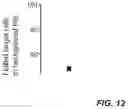 Fig. 13 - MODIFIED IMMUNE RECEPTOR CONSTRUCTS