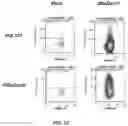 Fig. 14 - MODIFIED IMMUNE RECEPTOR CONSTRUCTS