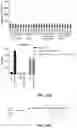 Fig. 19 - MODIFIED IMMUNE RECEPTOR CONSTRUCTS