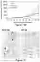 Fig. 09 - ENGINEERED NATURAL KILLER CELLS REDIRECTED TOWARD PURINERGIC SIGNALING, CONSTRUCTS THEREOF, AND METHODS FOR USING THE SAME