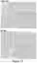 Fig. 10 - ENGINEERED NATURAL KILLER CELLS REDIRECTED TOWARD PURINERGIC SIGNALING, CONSTRUCTS THEREOF, AND METHODS FOR USING THE SAME
