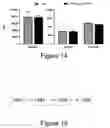 Fig. 11 - ENGINEERED NATURAL KILLER CELLS REDIRECTED TOWARD PURINERGIC SIGNALING, CONSTRUCTS THEREOF, AND METHODS FOR USING THE SAME