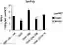Fig. 01 - Compositions and methods for the treatment of cancer using a CD8 engineered T cell therapy