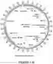 Fig. 42 - Compositions and methods for the treatment of cancer using a CD8 engineered T cell therapy