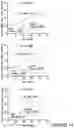 Fig. 48 - Compositions and methods for the treatment of cancer using a CD8 engineered T cell therapy