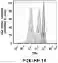 Fig. 50 - Compositions and methods for the treatment of cancer using a CD8 engineered T cell therapy
