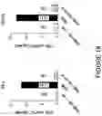 Fig. 52 - Compositions and methods for the treatment of cancer using a CD8 engineered T cell therapy
