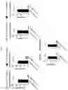 Fig. 07 - WASHED PLATELET EXTRACT