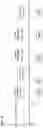 Fig. 16 - COMPOSITIONS COMPRISING STEM CELLS EXPRESSING MESENCHYMAL AND NEURONAL MARKERS AND USES THEREOF TO TREAT NEUROLOGICAL DISEASE