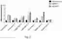 Fig. 04 - METHOD FOR PREDICTING EFFECTIVENESS OF TREATMENT OF HEMOGLOBINOPATHY