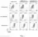 Fig. 06 - METHOD FOR PREDICTING EFFECTIVENESS OF TREATMENT OF HEMOGLOBINOPATHY