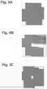 Fig. 05 - Methods and compositions for modulating angiogenesis and vasculogenesis