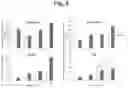 Fig. 07 - Methods and compositions for modulating angiogenesis and vasculogenesis