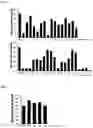 Fig. 02 - Composition For Inhibiting Non-Fluorescent Advanced Glycation End Products, And Use Thereof