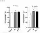Fig. 03 - Anti-aging Composition Containing Akkermansia Muciniphila as Active Ingredient and a Method for Preventing Aging Using Thereof