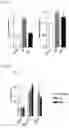 Fig. 06 - Anti-aging Composition Containing Akkermansia Muciniphila as Active Ingredient and a Method for Preventing Aging Using Thereof