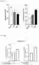 Fig. 07 - Anti-aging Composition Containing Akkermansia Muciniphila as Active Ingredient and a Method for Preventing Aging Using Thereof