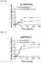 Fig. 04 - COMPOSITIONS AND METHODS FOR TARGETING TUMOR-ASSOCIATED EXTRACELLULAR MATRIX COMPONENTS TO IMPROVE DRUG DELIVERY