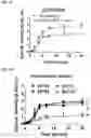 Fig. 05 - COMPOSITIONS AND METHODS FOR TARGETING TUMOR-ASSOCIATED EXTRACELLULAR MATRIX COMPONENTS TO IMPROVE DRUG DELIVERY