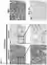Fig. 10 - COMPOSITIONS AND METHODS FOR TARGETING TUMOR-ASSOCIATED EXTRACELLULAR MATRIX COMPONENTS TO IMPROVE DRUG DELIVERY