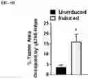 Fig. 14 - COMPOSITIONS AND METHODS FOR TARGETING TUMOR-ASSOCIATED EXTRACELLULAR MATRIX COMPONENTS TO IMPROVE DRUG DELIVERY