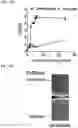 Fig. 29 - COMPOSITIONS AND METHODS FOR TARGETING TUMOR-ASSOCIATED EXTRACELLULAR MATRIX COMPONENTS TO IMPROVE DRUG DELIVERY
